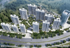 打算2022年12月25日开